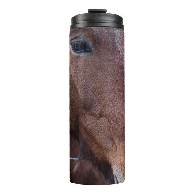 BOUTEILLES ISOTHERMES SAD HORSE (Devant)
