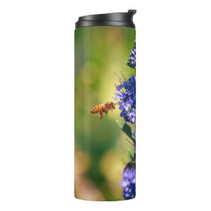 Bouteilles Isothermes Saison des abeilles
