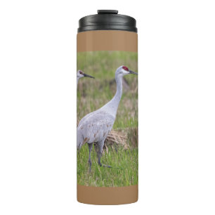 Bouteilles Isothermes Sand Hill Crane Tumbler Thermique