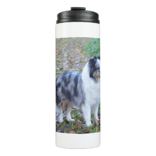 Bouteilles Isothermes Shetland Sheepdog Blue Merle