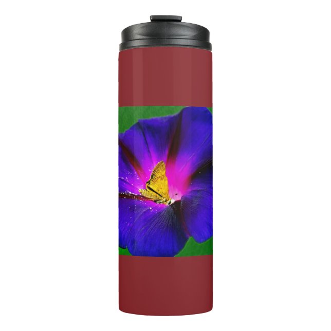 Bouteilles Isothermes Skipper sur Morning Glory  (Devant)