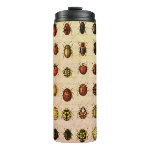 Bouteilles Isothermes Spécimen de coccinelle vintage Motif Insecte antiq