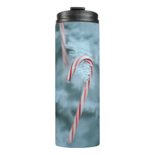 Bouteilles Isothermes Sucre de canne sur l'arbre