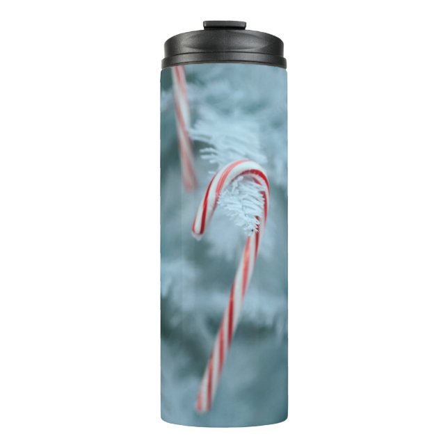 Bouteilles Isothermes Sucre de canne sur l'arbre (Devant)