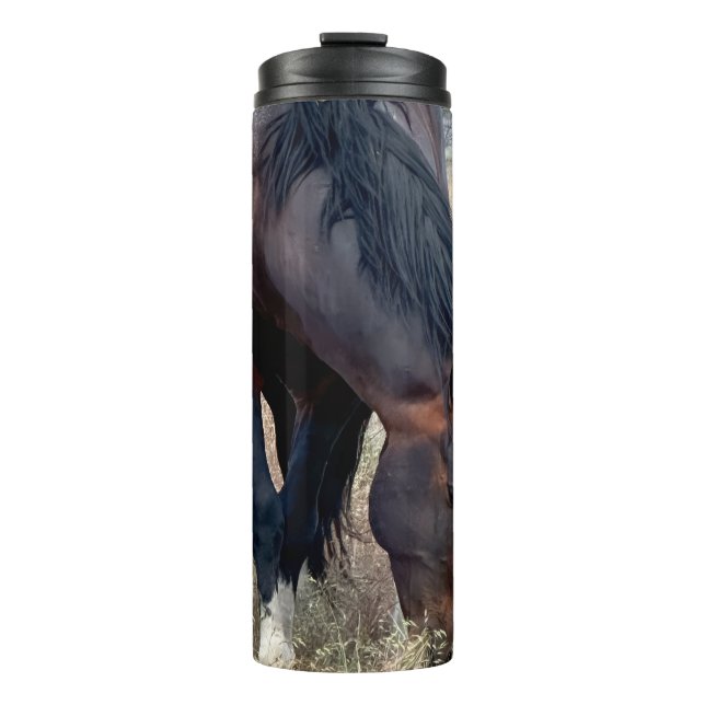Bouteilles Isothermes T Tumbler de Steens  (Devant)