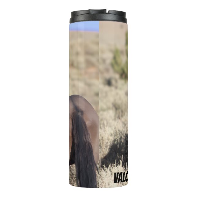 Bouteilles Isothermes T Tumbler de Steens  (Dos)