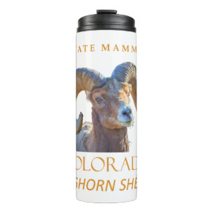 Bouteilles Isothermes Territoire du Colorado Mammifère Le Mouflon à corn