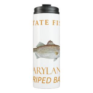 Bouteilles Isothermes Territoire du Maryland Pêchez le bar rayé