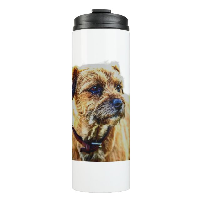 Bouteilles Isothermes Tervueren Border Terrier  (Devant)