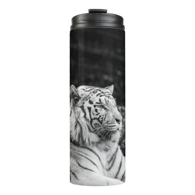 BOUTEILLES ISOTHERMES TIGER THINKING (Devant)
