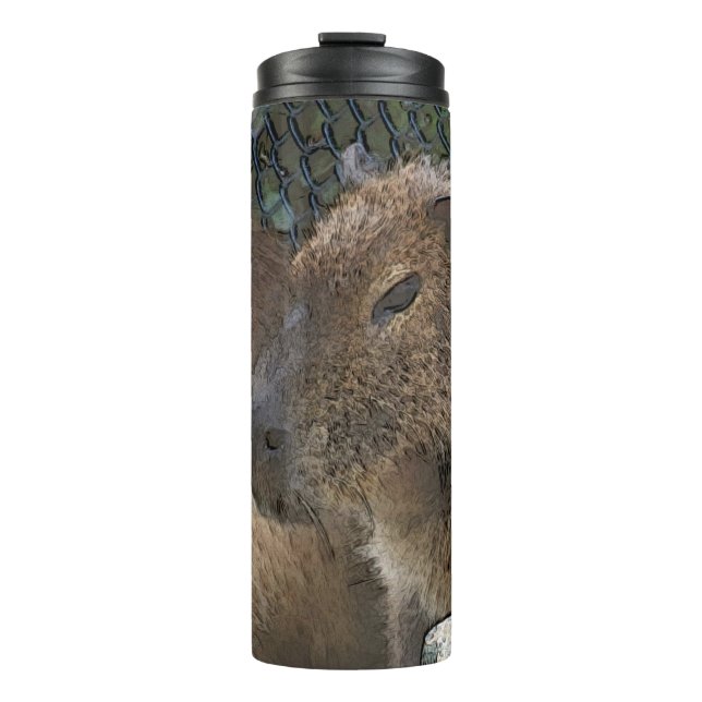 Bouteilles Isothermes toony capibarah (Devant)