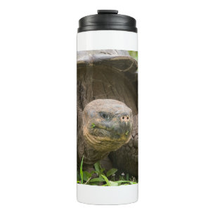 Bouteilles Isothermes Tortue géante