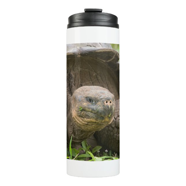 Bouteilles Isothermes Tortue géante (Devant)