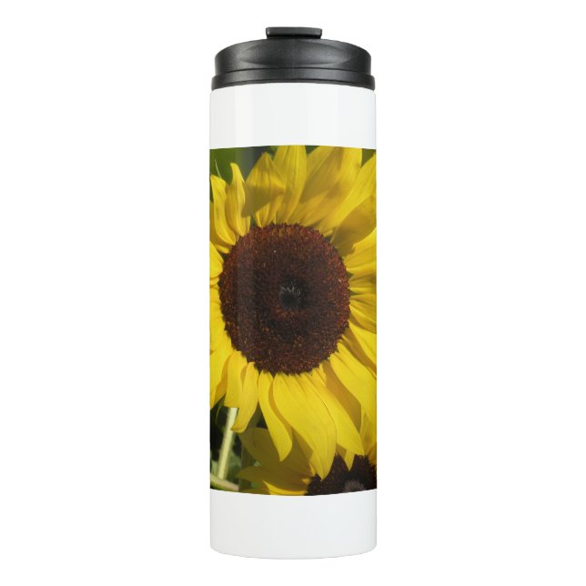 Bouteilles Isothermes Tournesol (Devant)