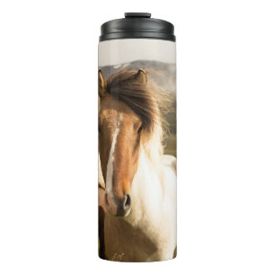 BOUTEILLES ISOTHERMES TROIS CHEVAUX COULEUR COULEUR COULEUR COULEUR COUL