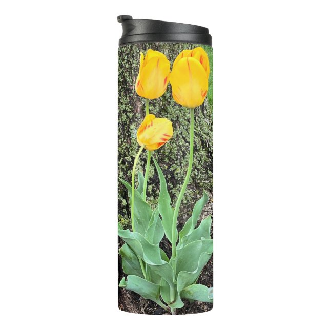 Bouteilles Isothermes Trois Tulipes Jaunes / (Tourné sur la droite)