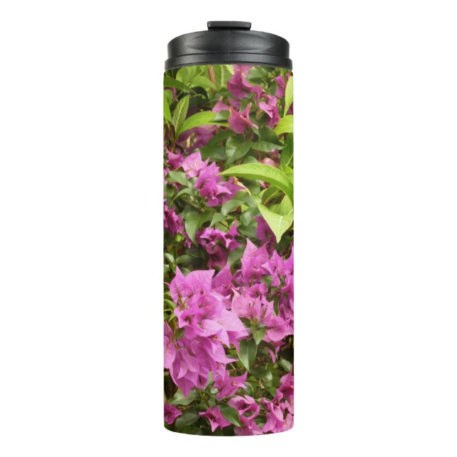 Bouteilles Isothermes Tropical Purple Bougainvillea Floral (Devant)