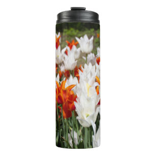 Bouteilles Isothermes Tulipes blanches et gingembre dans le jardin    