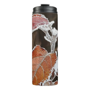 Bouteilles Isothermes Tumbler thermique Brown Froid Feuilles