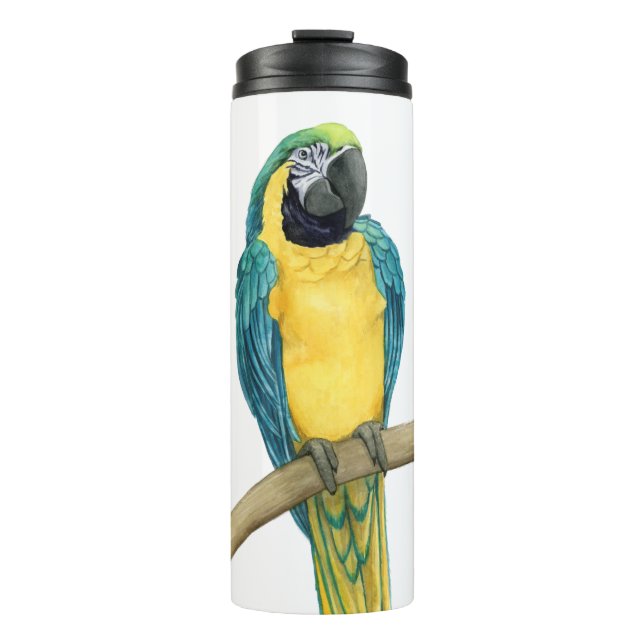 Bouteilles Isothermes Turquoise Macaw (Devant)