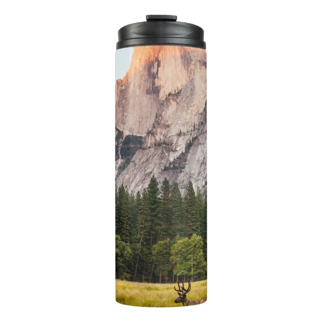BOUTEILLES ISOTHERMES TWO DEER IN FRONT OF HALF DOME IN YOSEMITE VALLEY  (Devant)