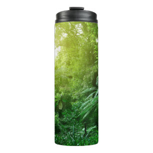 Bouteilles Isothermes Un couvert d'arbres illuminé dans la jungle tropic