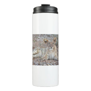 Bouteilles Isothermes Un Lion Cub Avec Un Regard Doux Et Innocent.