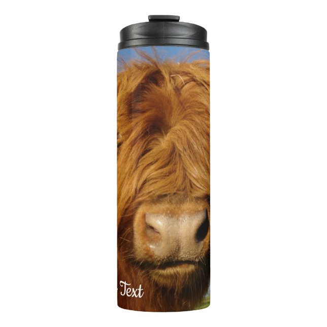 Bouteilles Isothermes Vache écossaise à boulettes - Ciel bleu (Devant)