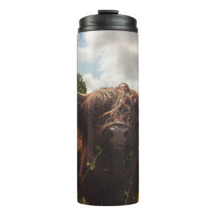 Bouteilles Isothermes Vache noire pâturage vert champ soleil
