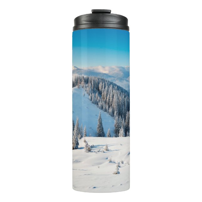 Bouteilles Isothermes Vieux grunge texture en bois ou arrière - plan ave (Devant)