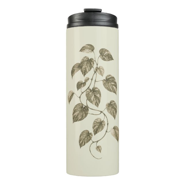 Bouteilles Isothermes Vigne de pothos vert vintage (Devant)