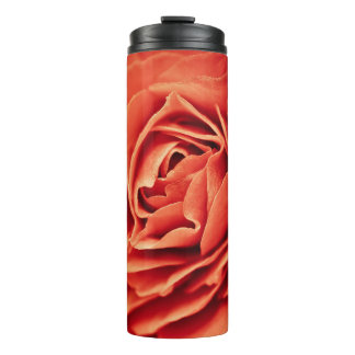 Bouteilles Isothermes vivant rose