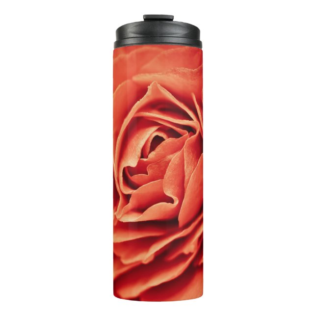Bouteilles Isothermes vivant rose (Devant)