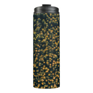 Bouteilles Isothermes Vue aérienne des arbres