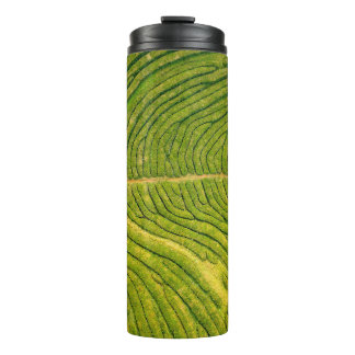 Bouteilles Isothermes Vue aérienne du champ vert ouvert