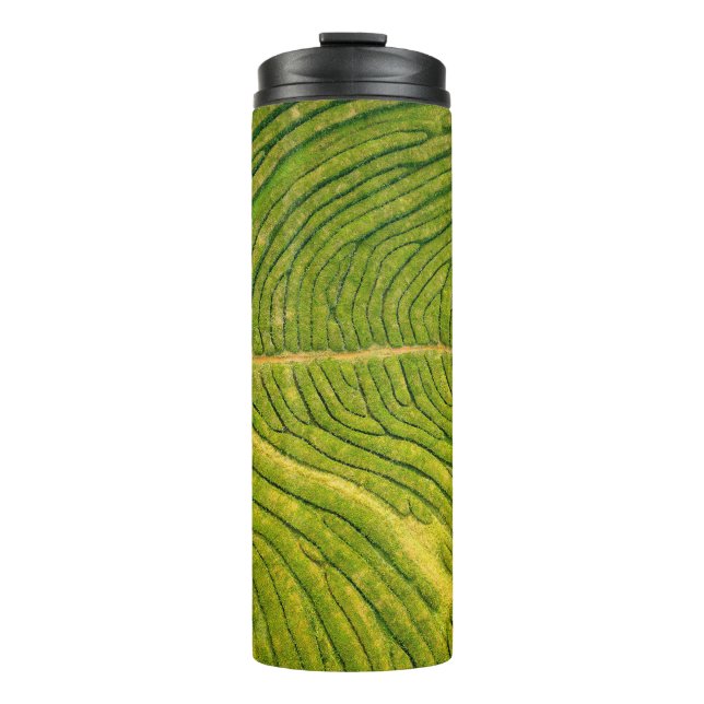 Bouteilles Isothermes Vue aérienne du champ vert ouvert (Devant)