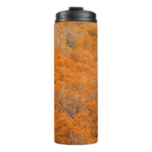 Bouteilles Isothermes Vue sur la forêt orange. Arrière - plan de feuille