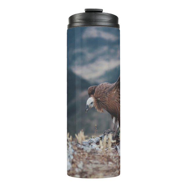 BOUTEILLES ISOTHERMES VULTURE (Devant)