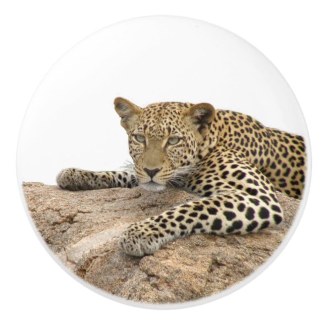 Bouton de céramique Leopard, à droite (Tirer pour  (Devant)