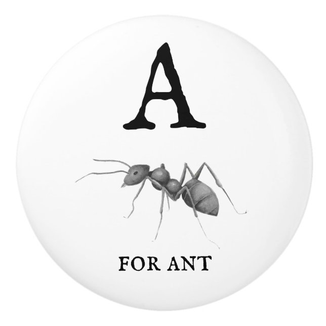Bouton De Porte En Céramique "A" pour Ant (Devant)