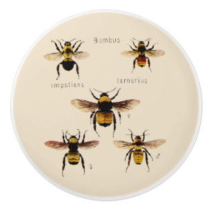 Bouton De Porte En Céramique Abeilles Vintages