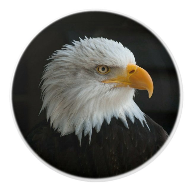 BOUTON DE PORTE EN CÉRAMIQUE AJOUTER VOTRE PROPRE PHOTO OU TEXTE (Devant)