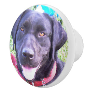 Bouton De Porte En Céramique ajoutez votre photo d'animal familier Bouton en cé