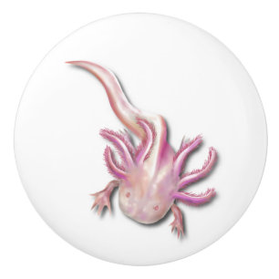Bouton De Porte En Céramique Albino Axolotl "Poisson de promenade" Art