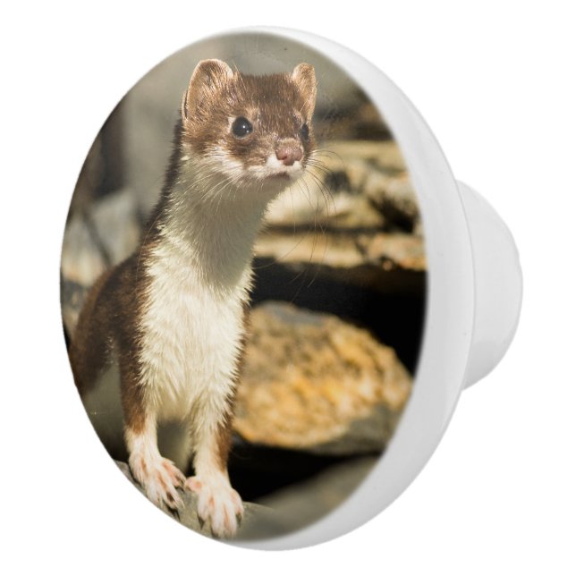 Bouton De Porte En Céramique Alerte Weasel (Droite)