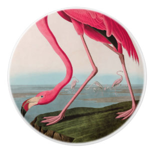 Bouton De Porte En Céramique American Flamant rose Birds of America Audubon Imp