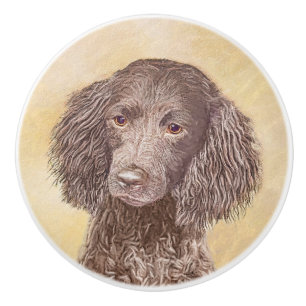 Bouton De Porte En Céramique American Water Spaniel Peinture - Original Dog Art