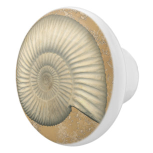 Bouton De Porte En Céramique Ammonite de Perisphinctes