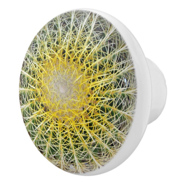 Bouton De Porte En Céramique Amusant Cactus Arid (Droite)