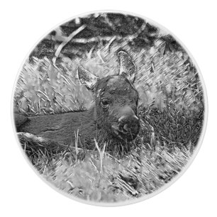 Bouton De Porte En Céramique AnimalArtBW_Moose_001